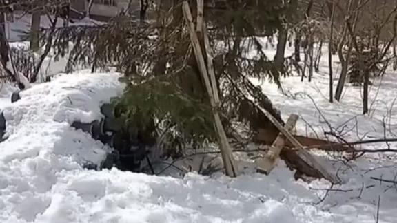 В Ставрополе возместят ущерб за сломанную во время ремонта крыши ёлку