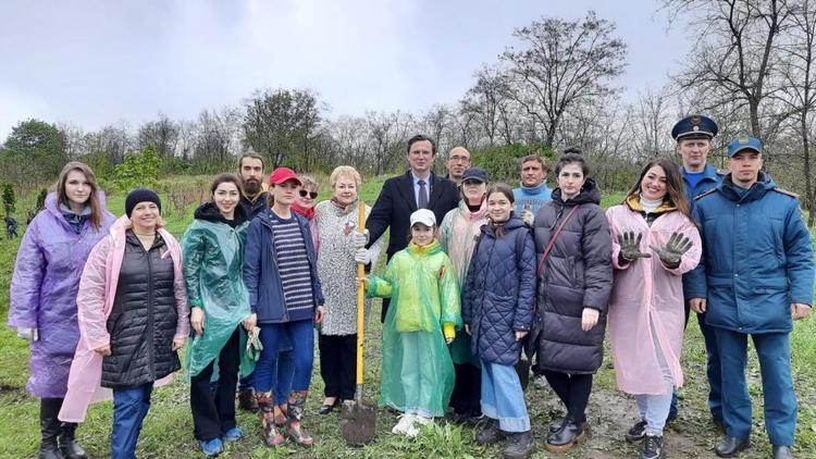 Накануне Дня Победы в Кисловодске высадили 150 деревьев