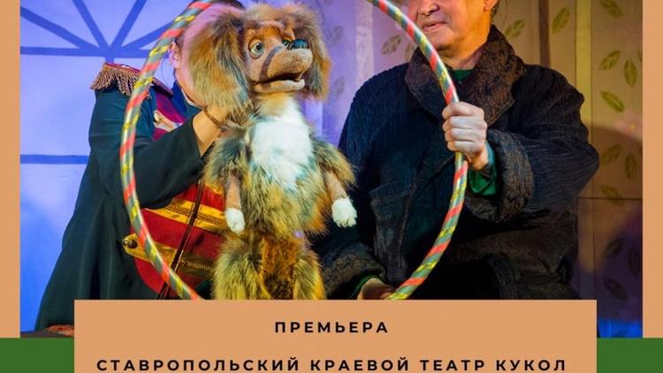 В Ставропольском театре кукол прошла премьера спектакля «Каштанка»