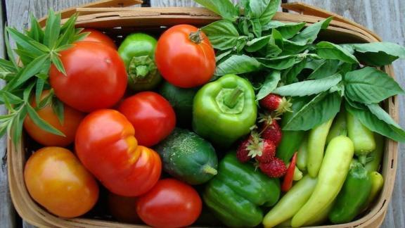 На Ставрополье Росстат отмечает снижение цен на овощную продукцию