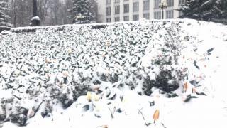 В детских садах Железноводска из-за снега продлят отопительный сезон