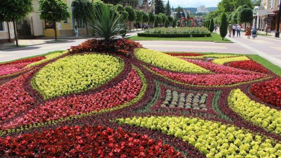 Более 400 тысяч цветов украсят клумбы Кисловодска