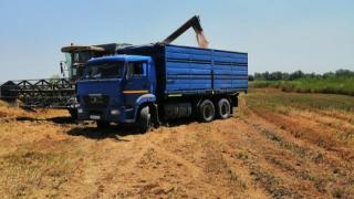  В Кочубеевском округе Ставрополья собрали более 6000 тонн гороха