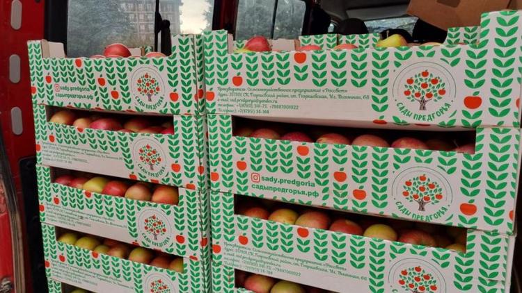 Жители Предгорного округа Ставрополья отправили бойцам СВО тонну яблок