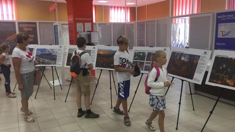 Более полутора тысяч невинномыссцев посетили фотовыставку «Мое заповедное Ставрополье»