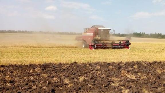 В половине округов Ставрополья завершили уборку урожая