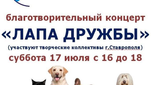 В Ставрополе 17 июля пройдёт благотворительный концерт в помощь животным приюта