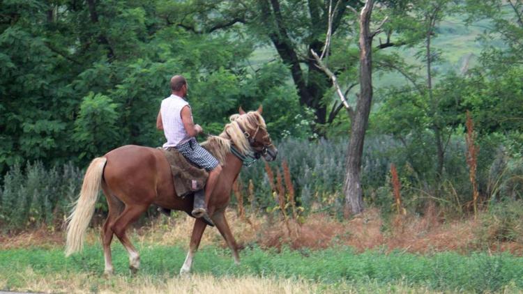 Всадники на лошадях испортили ​газон в Кисловодске