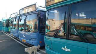 13 новых автобусов приобретены для парка общественного транспорта Ставрополя