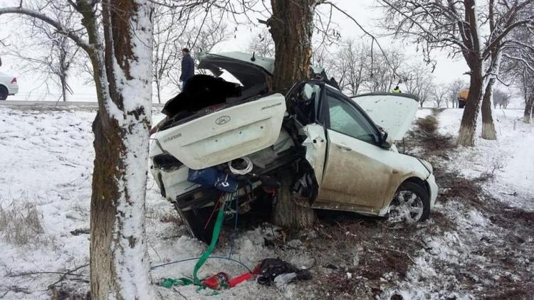 В Будённовском районе 61-летний водитель врезался в дерево и погиб