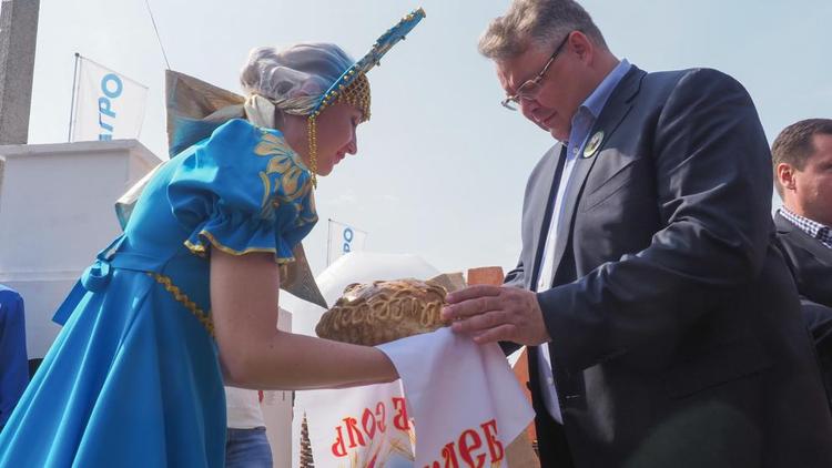 В Михайловске проходит праздник Урожая - 2019
