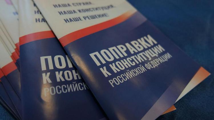 Николай Головин: Обновлённая Конституция гарантирует большое будущее волонтёрского движения