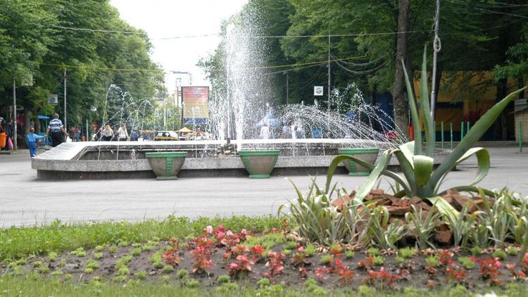 Проекты по озеленению Ставрополя принимают от всех жителей города с 1 апреля