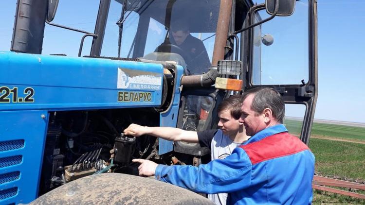 На Ставрополье студенты агротехникума обмолотили более 130 гектаров зерновых