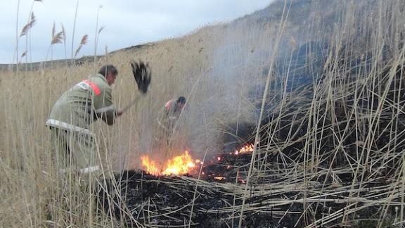 Крупный ландшафтный пожар потушили в Минераловодском районе Ставрополья