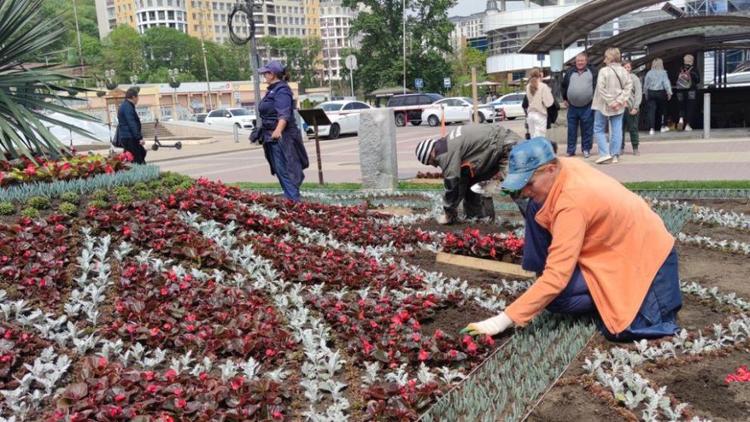 Более 280 тысяч цветов украсят Кисловодск этим летом