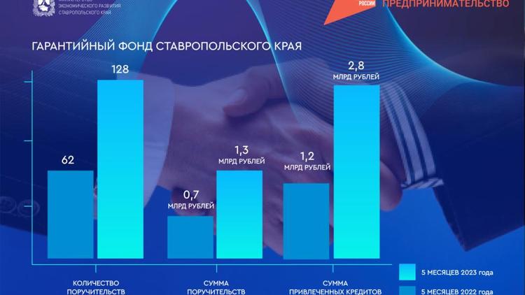 Ставропольский бизнес с начала года привлёк более 2,8 млрд рублей льготных кредитов