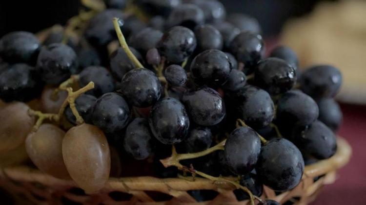 В Будённовском районе собран рекордный урожай винограда