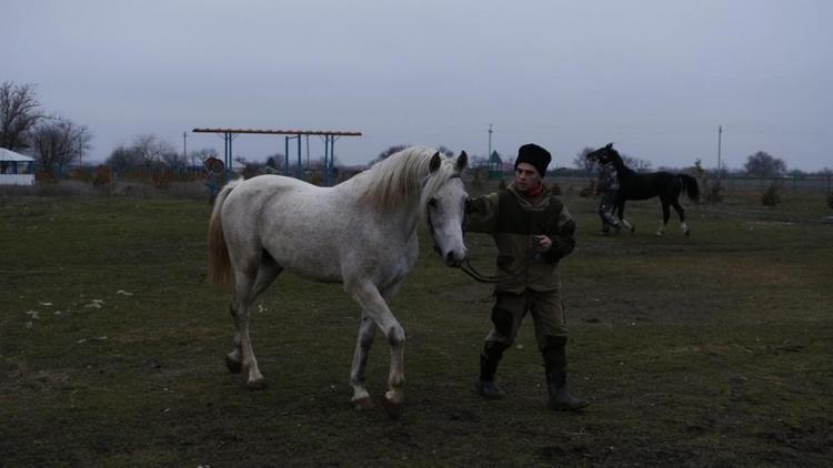 Казаки Ставрополья проведут памятную конную экспедицию
