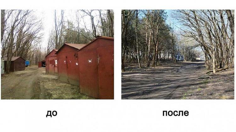 Таманский лес в Ставрополе полностью очищен от гаражей