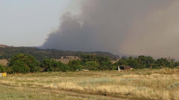 В Петровском районе пожарные и волонтеры 6 часов боролись с крупным ландшафтным пожаром