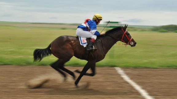 Ставропольский конь победил на Южнороссийских скачках