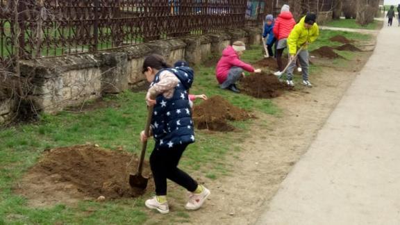 На Ставрополье высадили более 175 тысяч деревьев в рамках акции «Сад Памяти»