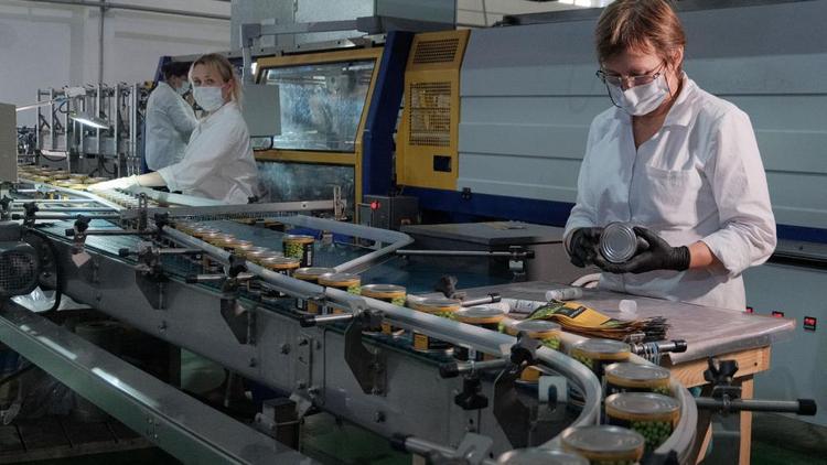 На Ставрополье сохраняется положительная динамика промышленного производства