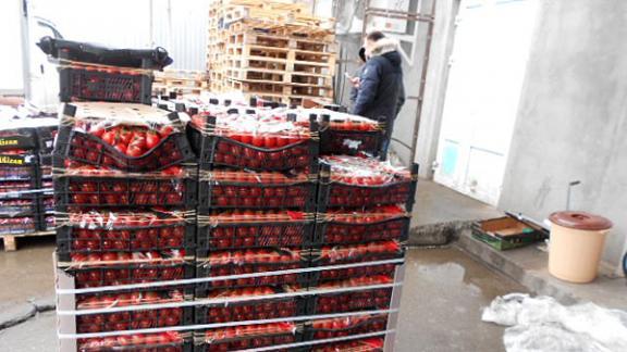 На Ставрополье уничтожили тонну запрещенных томатов из Турции