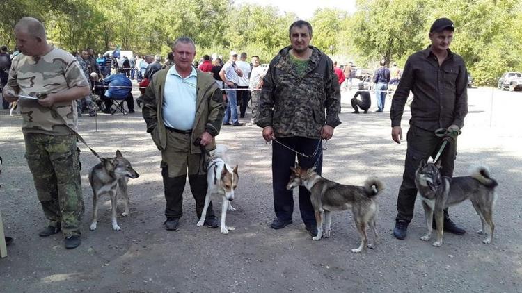 На Ставрополье прошла межрегиональная выставка охотничьих собак
