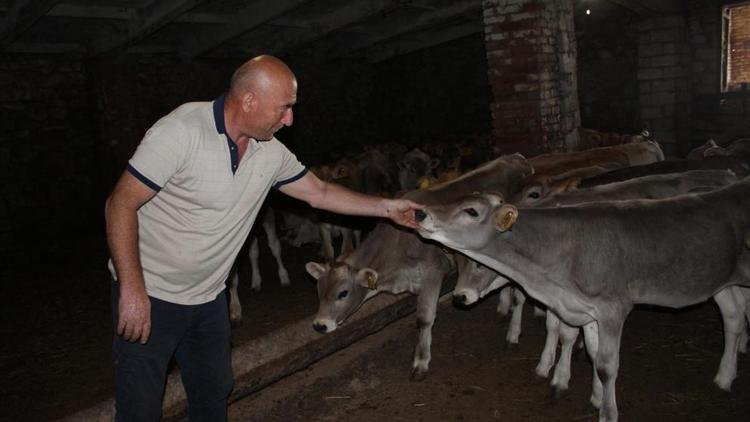 В Степновском округе Ставрополья развивают молочное животноводство