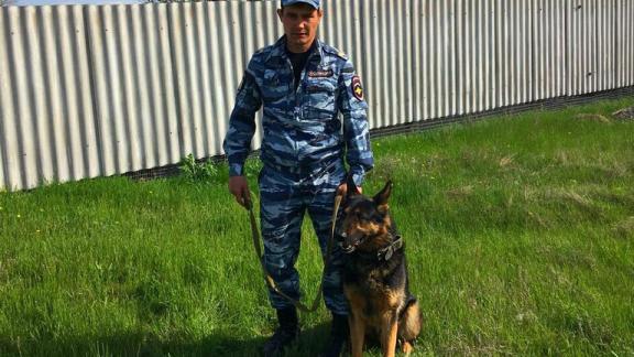 Служебная собака помогла раскрыть грабеж на Ставрополье