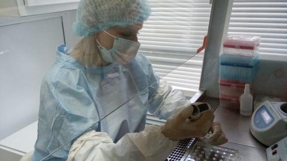 В Минераловодском округе Ставрополья вакцинировали животных