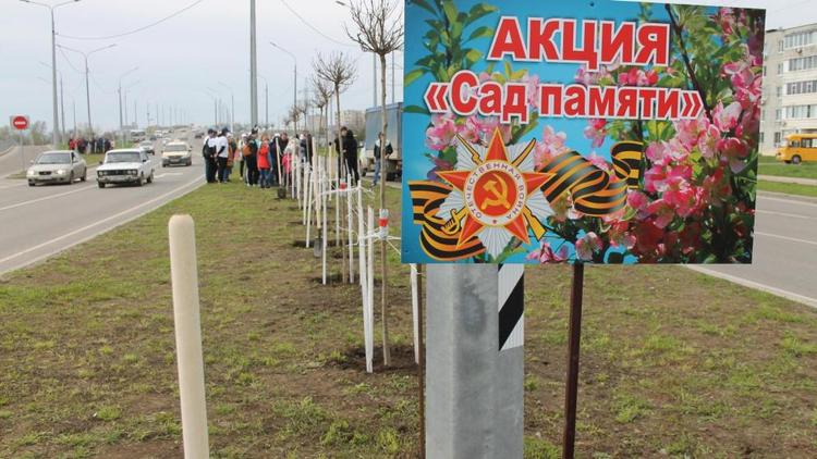 Невинномысск присоединился к Международной акции «Сад памяти»