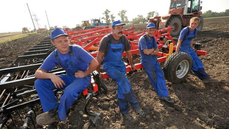 Сроки выплат субсидий для аграриев сократят на Ставрополье