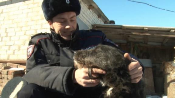Ставропольский участковый поймал живодёра и забрал себе раненную им собаку