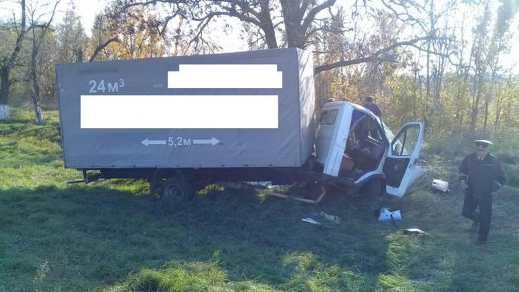 В Труновском районе водитель заснул за рулём и врезался в дерево