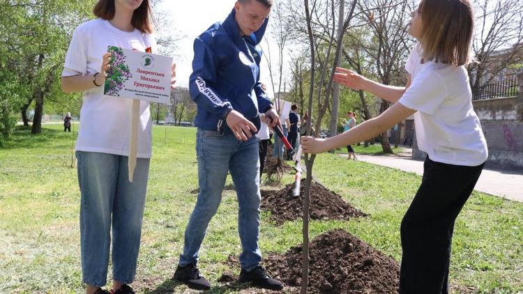 В Ставрополе на территории лицея №17 высадили 14 саженцев редкого дерева