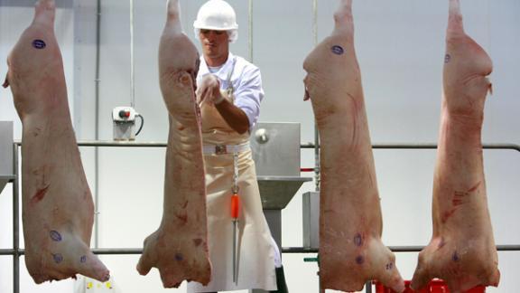Для профилактики АЧС необходимо сократить свинопоголовье в личных хозяйствах вблизи крупных ферм