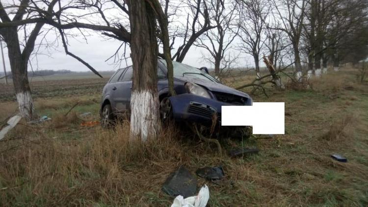 На Ставрополье водитель разбился насмерть, врезавшись в дерево