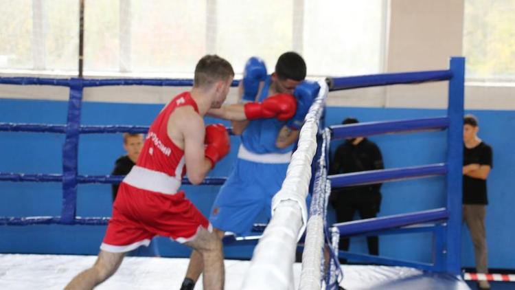 В Ставрополе соревнования по боксу посвятили ушедшим из жизни тренерам