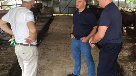 Минераловодский фермер на Ставрополье осваивает мясное животноводство