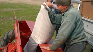 Подготовка почв для сева озимых идет в Ставропольском крае