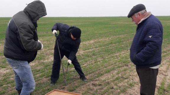Состояние почвы на наличие влаги оценили в Нефтекумском округе Ставрополья