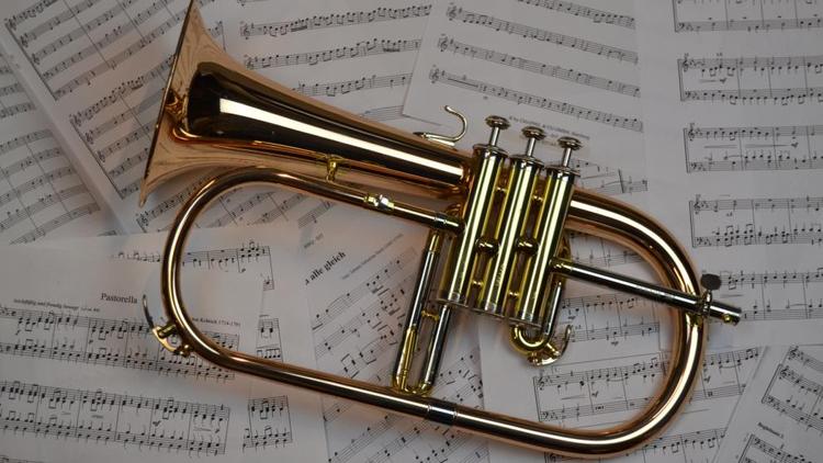 Новые инструменты получат музыкальные школы Железноводска