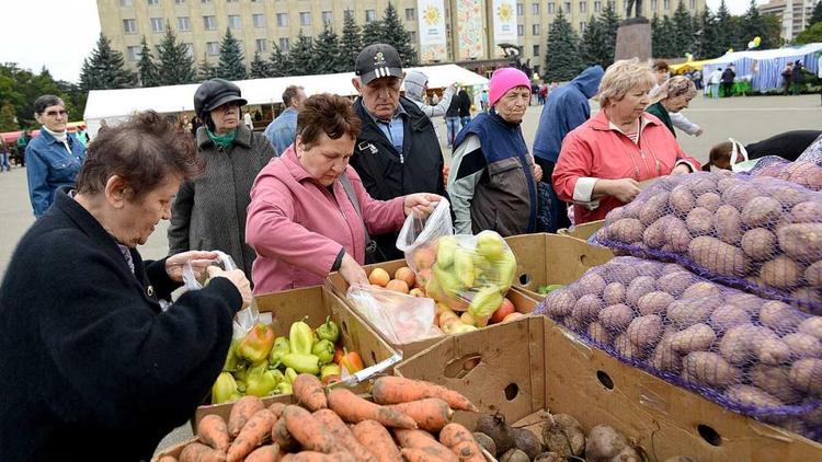 Овощеводам на Ставрополье выделено 200 миллионов рублей