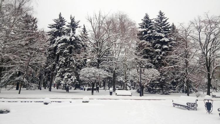 Мокрый снег ожидается на Ставрополье в начале недели