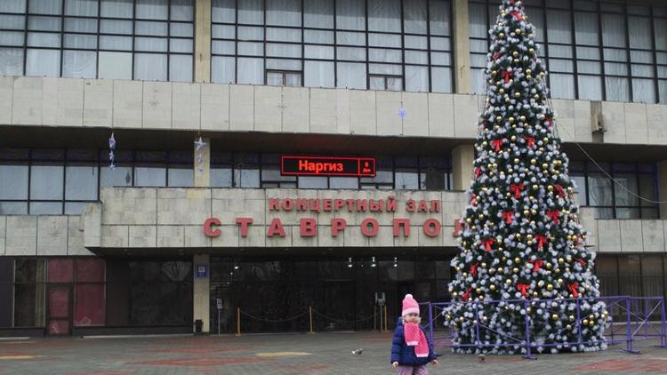 Новогодняя ёлка украсила в Ставрополе площадь возле ДКиС