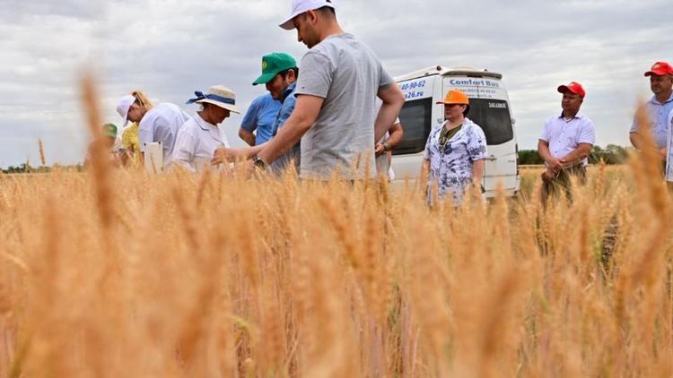 В Будённовском округе побывала делегация учёных–аграриев из стран ближнего зарубежья