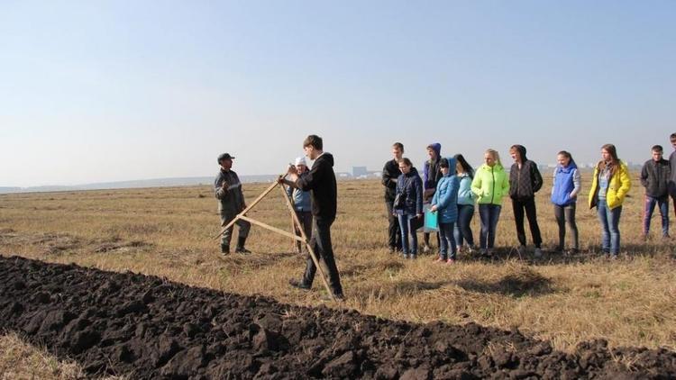 Кадровый резерв фермеров начали формировать со школьной скамьи на Ставрополье